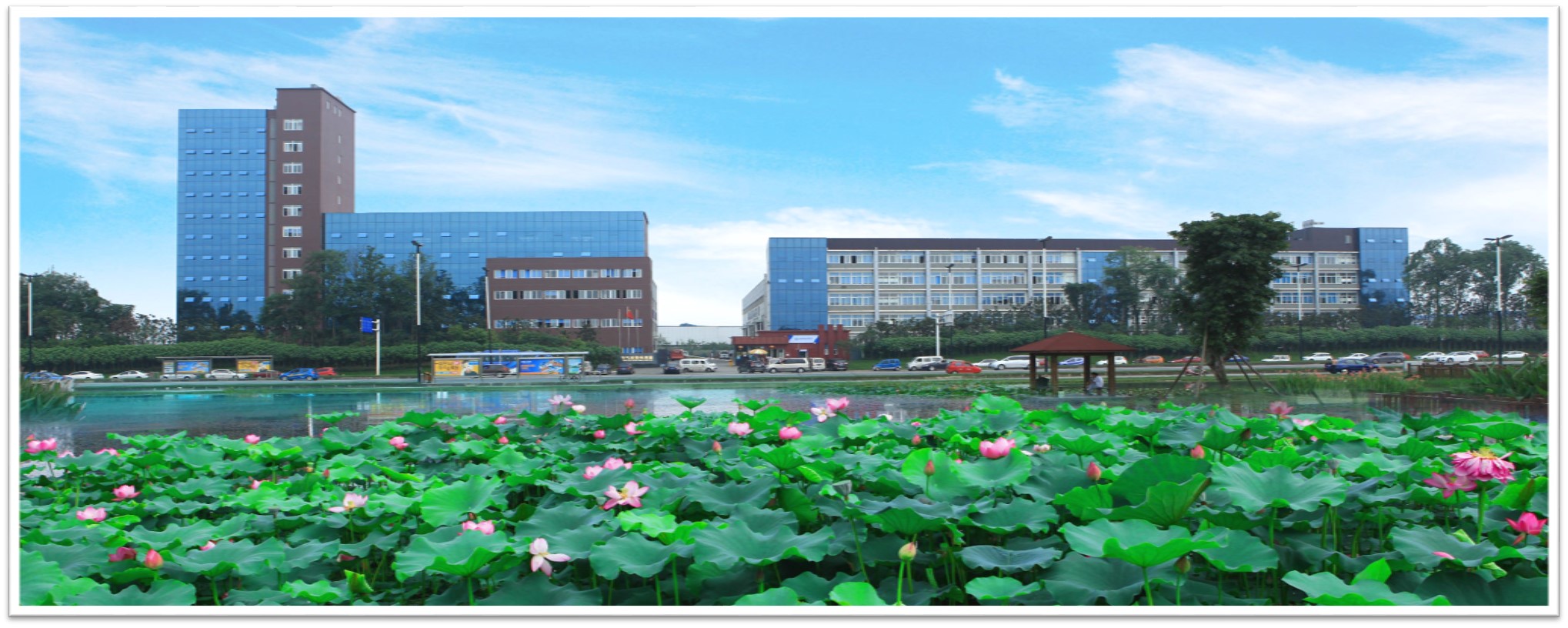 1537509029730286 1537509029730286